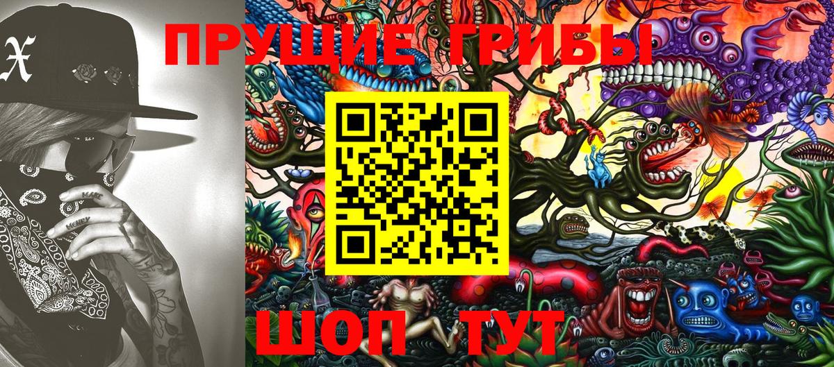 сколько стоит  Вход с VPN  Чистополь  Галлюциногенные грибы GOLDEN TEACHER 